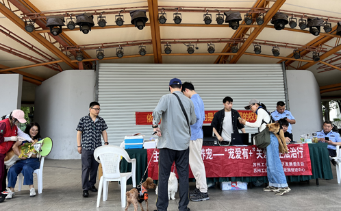 一码中内部资料