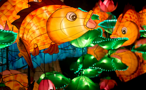 一码中内部资料