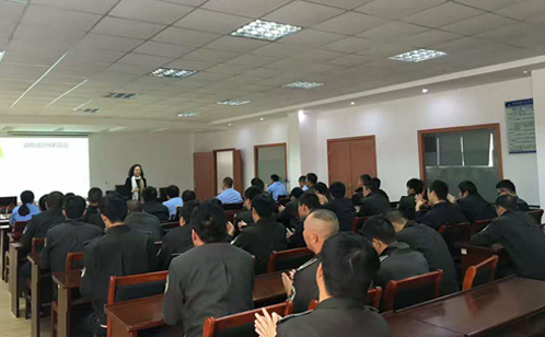 一码中内部资料