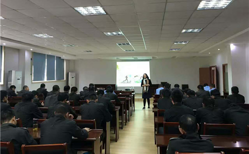 一码中内部资料