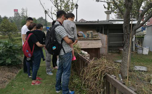 一码中内部资料