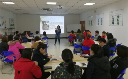 一码中内部资料