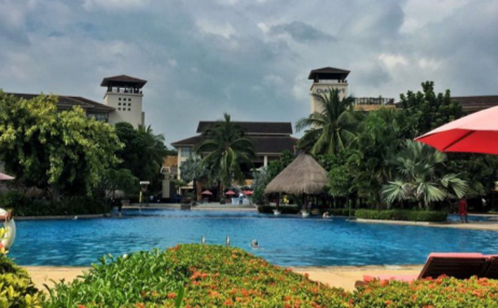 一码中内部资料