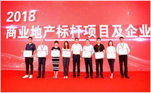 一码中内部资料