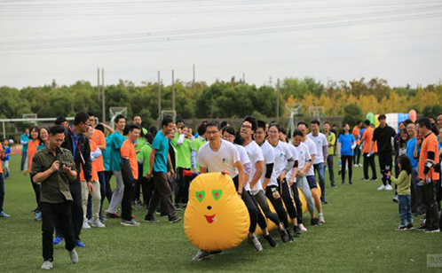 一码中内部资料