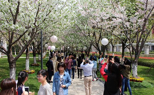 一码中内部资料