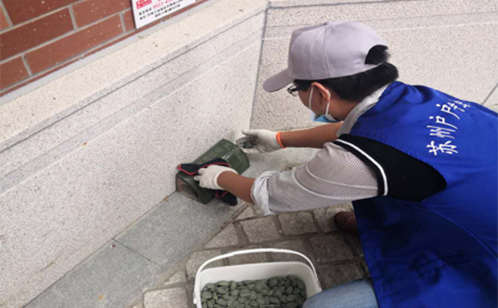 一码中内部资料