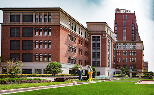 一码中内部资料