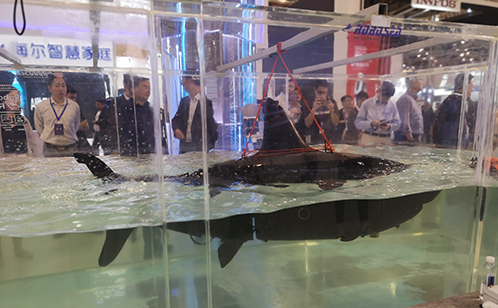 一码中内部资料