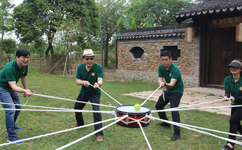 一码中内部资料