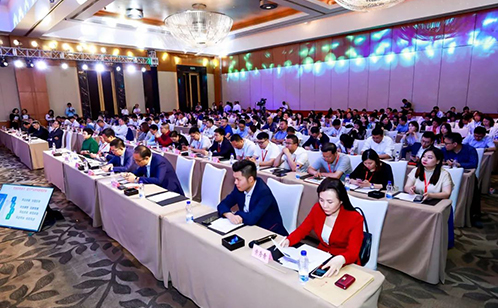 一码中内部资料