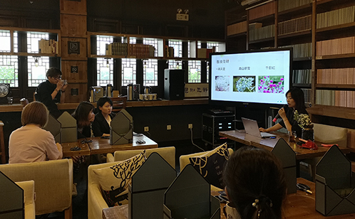 一码中内部资料