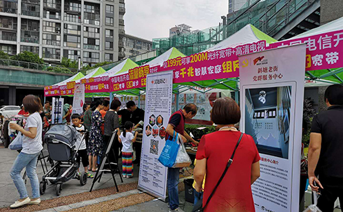 一码中内部资料