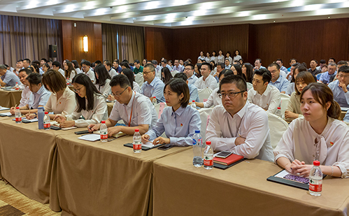 一码中内部资料