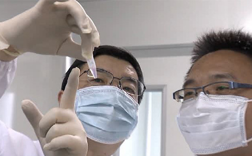 一码中内部资料