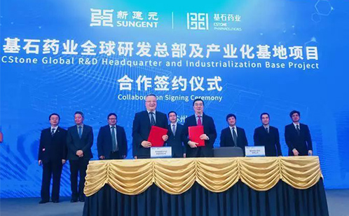 一码中内部资料