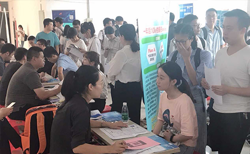 一码中内部资料