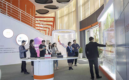 一码中内部资料