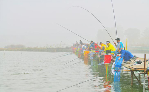 一码中内部资料