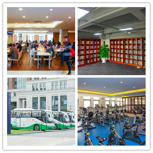 一码中内部资料