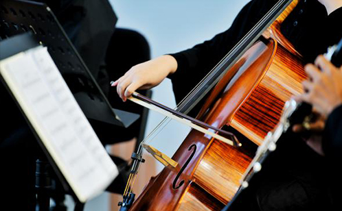 一码中内部资料