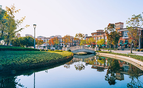 一码中内部资料