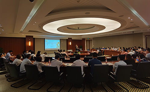 一码中内部资料