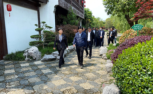 一码中内部资料