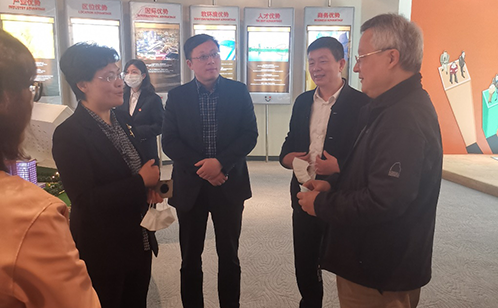 一码中内部资料