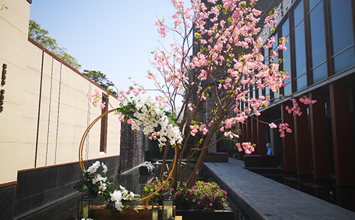 一码中内部资料