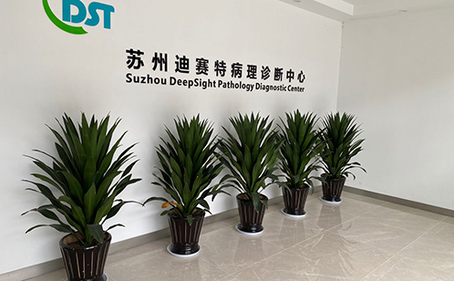 一码中内部资料