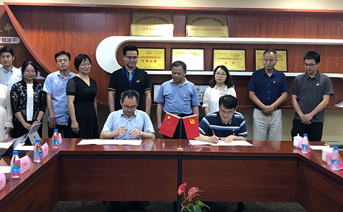 一码中内部资料