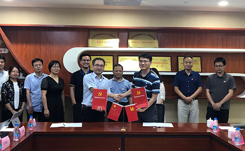 一码中内部资料