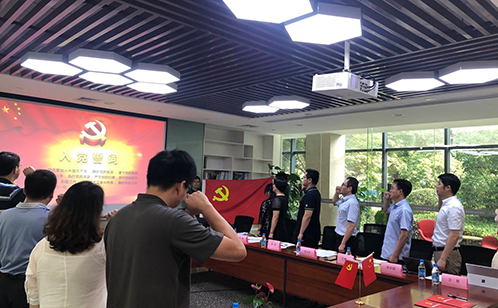 一码中内部资料