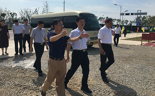 一码中内部资料