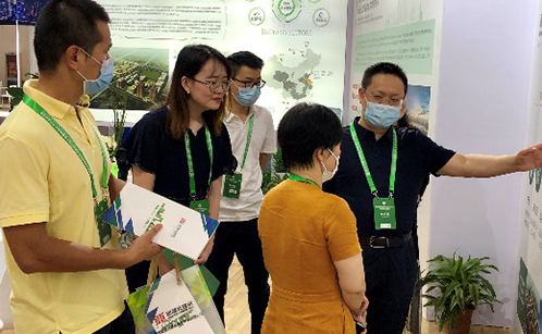 一码中内部资料