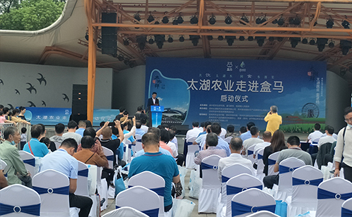 一码中内部资料