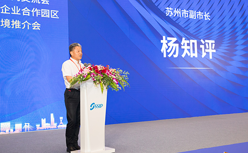 一码中内部资料