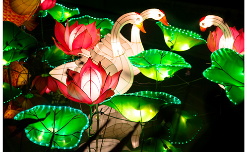 一码中内部资料