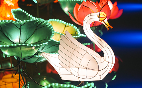 一码中内部资料