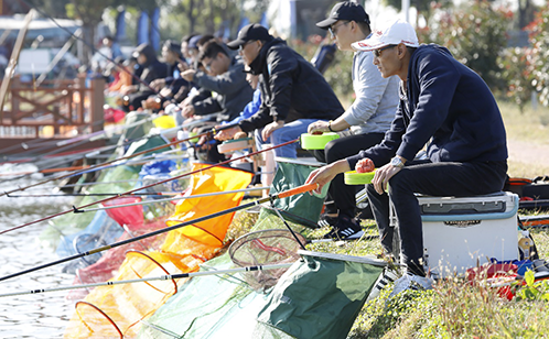 一码中内部资料