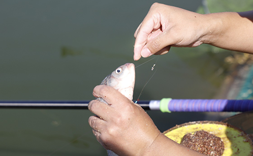 一码中内部资料
