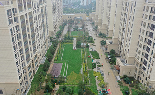 一码中内部资料