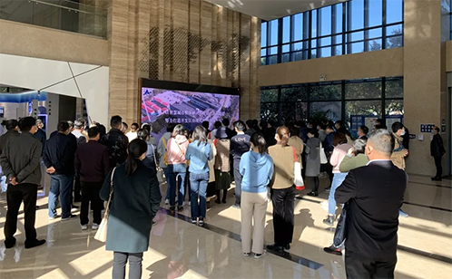 一码中内部资料