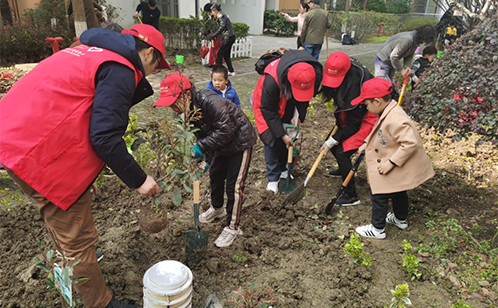 一码中内部资料