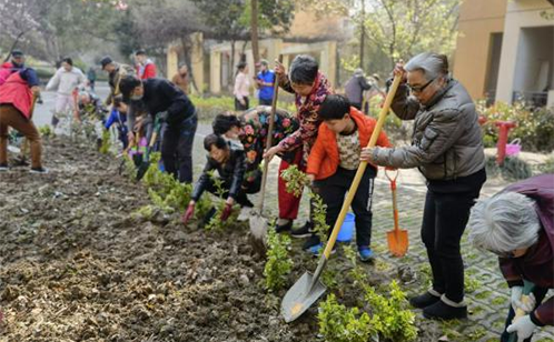一码中内部资料