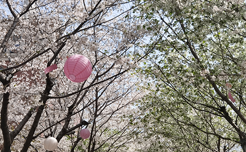 一码中内部资料