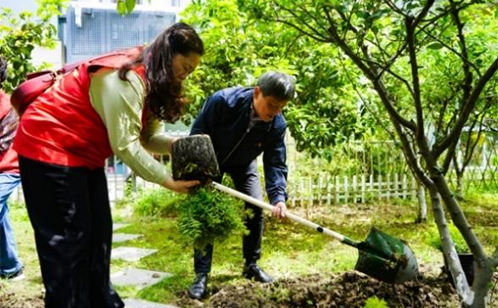 一码中内部资料