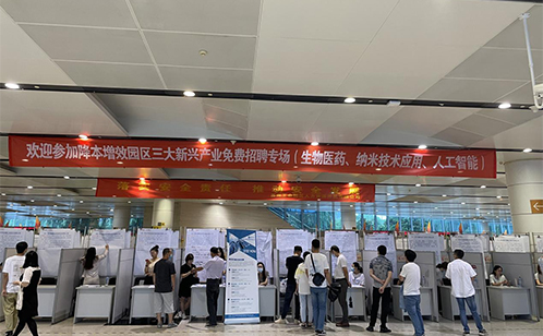 一码中内部资料