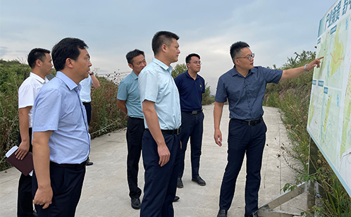 一码中内部资料